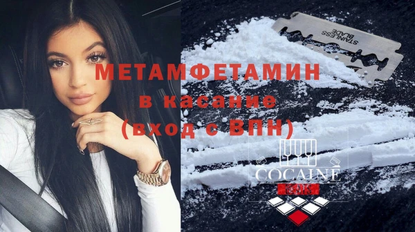 индика Волоколамск