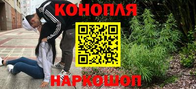 бошки Гай