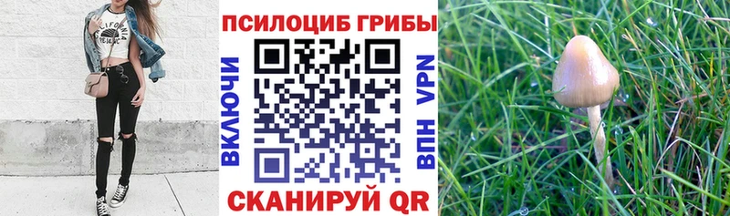 Псилоцибиновые грибы прущие грибы mega Зеленокумск