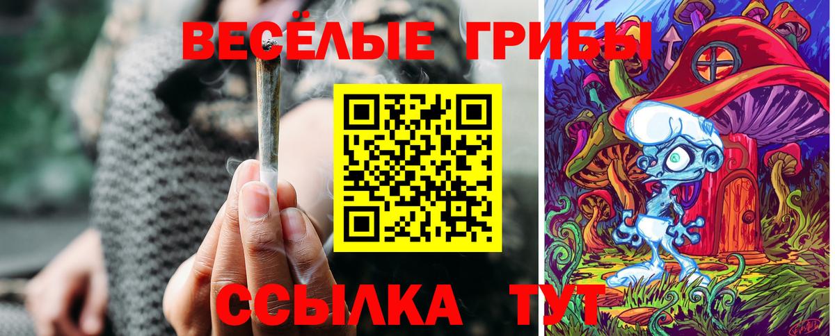 Галлюциногенные грибы Magic Shrooms Зеленокумск