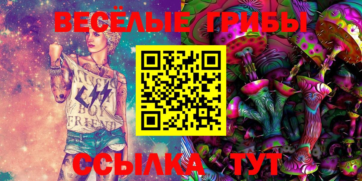 Галлюциногенные грибы Psilocybine cubensis  Зеленокумск  Псилоцибиновые грибы Magic Shrooms 