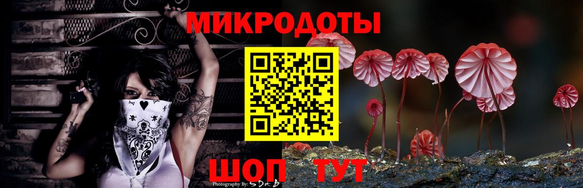 Псилоцибиновые грибы прущие грибы  Псилоцибиновые грибы Cubensis  что такое наркотик  Зеленокумск  Вход с VPN 